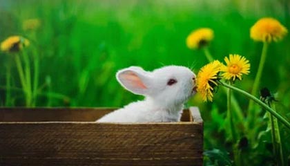 开云·体育官网-高位压迫转化为直接得分手段，高位压迫战术