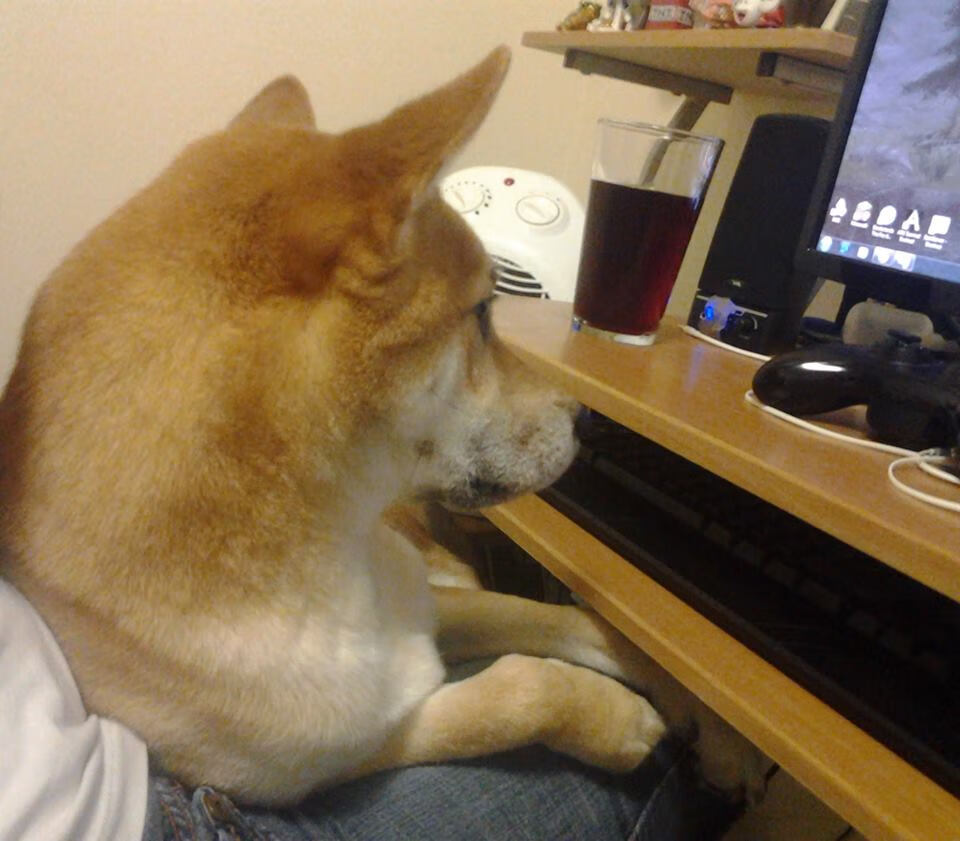 开云官网APP下载-_红土流金：最具观赏价值的本土赛事_，红土百度百科