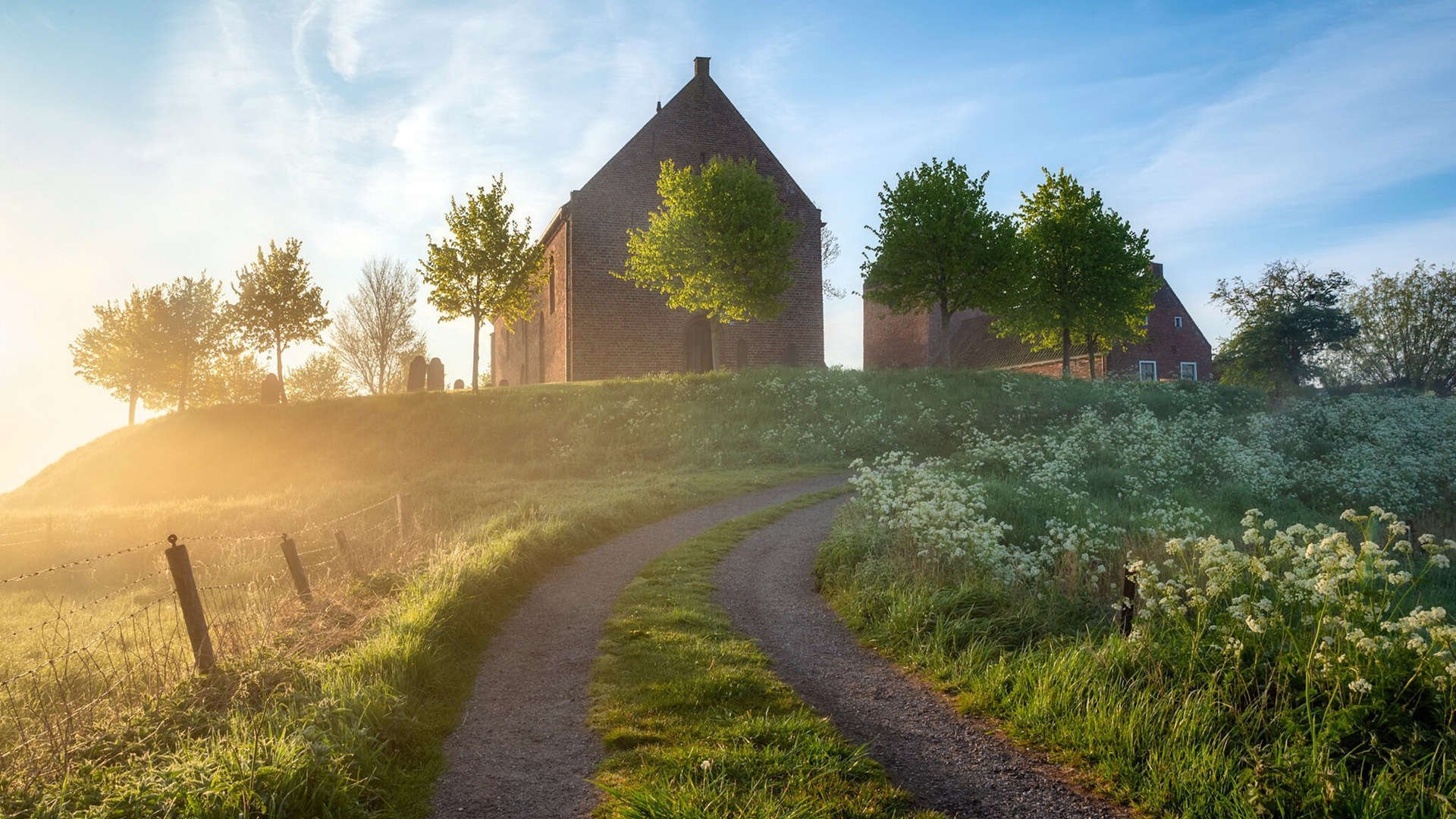 传奇教练的“秘诀”：如何打造冠军球队，传奇足球教练