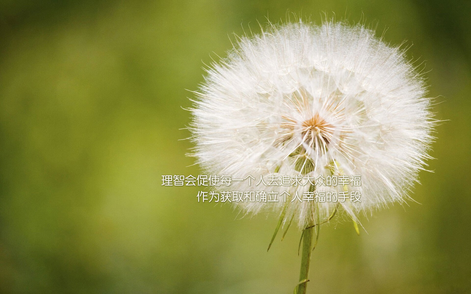 小镇篮球联赛带火本地体育产业，激发全民热情，篮球小镇项目战略合作协议