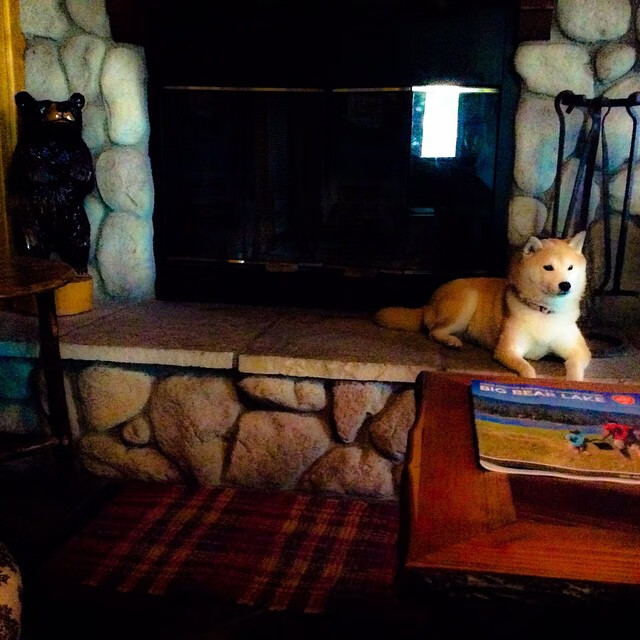 库兹马诺维奇在巴黎奥运会手球比赛中多次扑救点球，库兹马持球