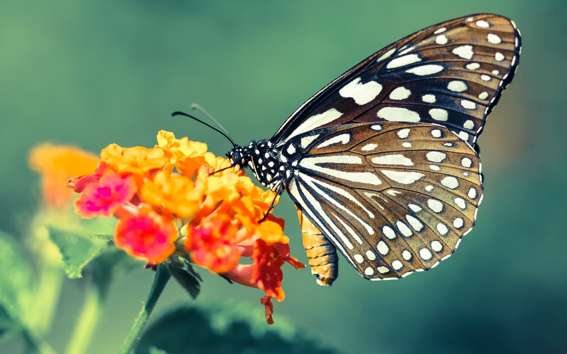 kaiyun官方网站-Heroic 战队在 IEM Rio Major 中表现出色，hero战队是哪个城市的