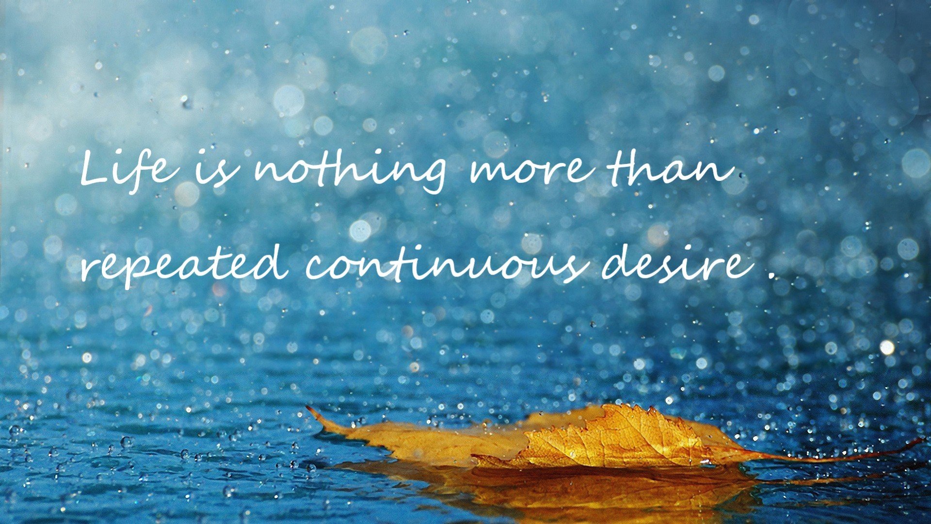 LCK研究院发布《2025年电竞教育蓝皮书》,电竞教育论坛