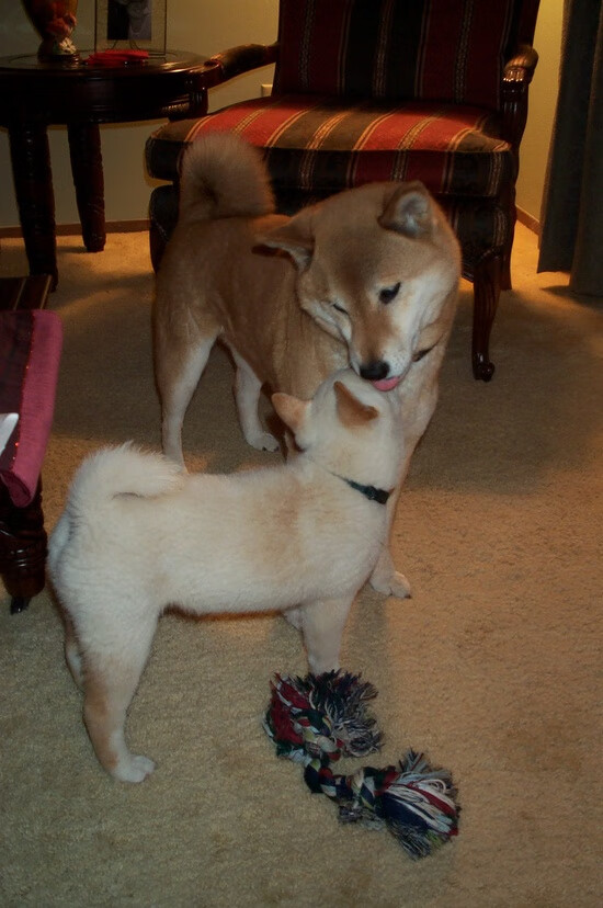 北马其顿蓄势待发：波黑难阻他们步伐，北马其顿原来是哪个国家