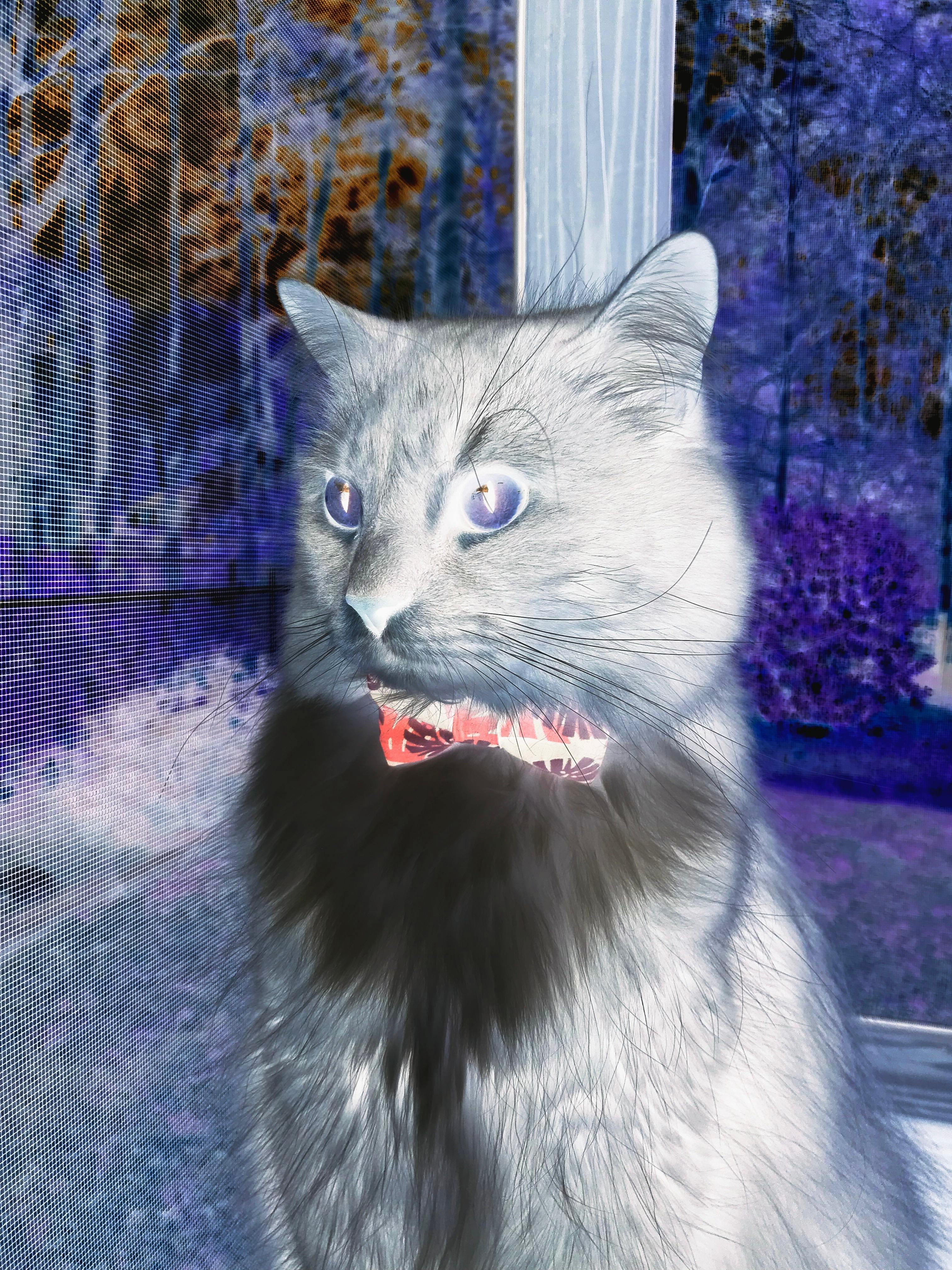 开云网站-山东鲁能泰山队主场不敌深圳佳兆业，鲁能泰山vs深圳佳兆业