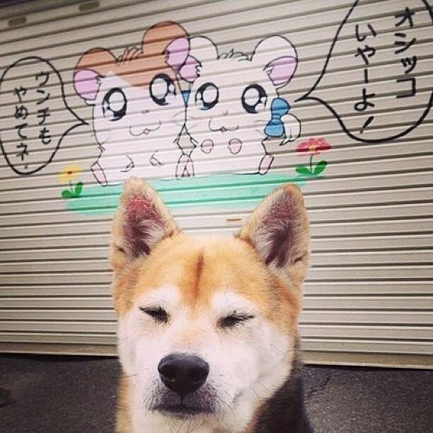 KAIYUNAPP-强队对决！欧洲预选赛中的焦点对抗引人关注，欧洲预选比赛直播