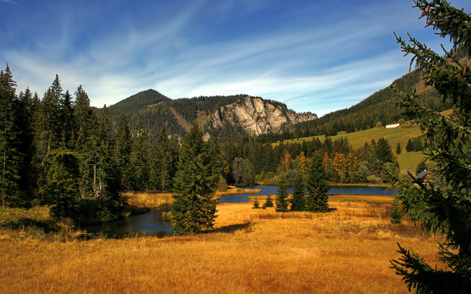 浙江稠州年轻阵容逐渐成熟，浙江稠州队员名单