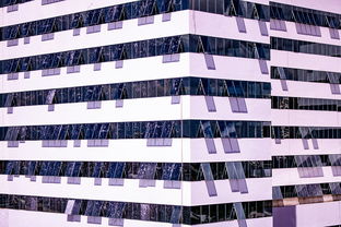 kaiyun体育综合-体育赛事风险管控体系建设，体育赛事风险防范