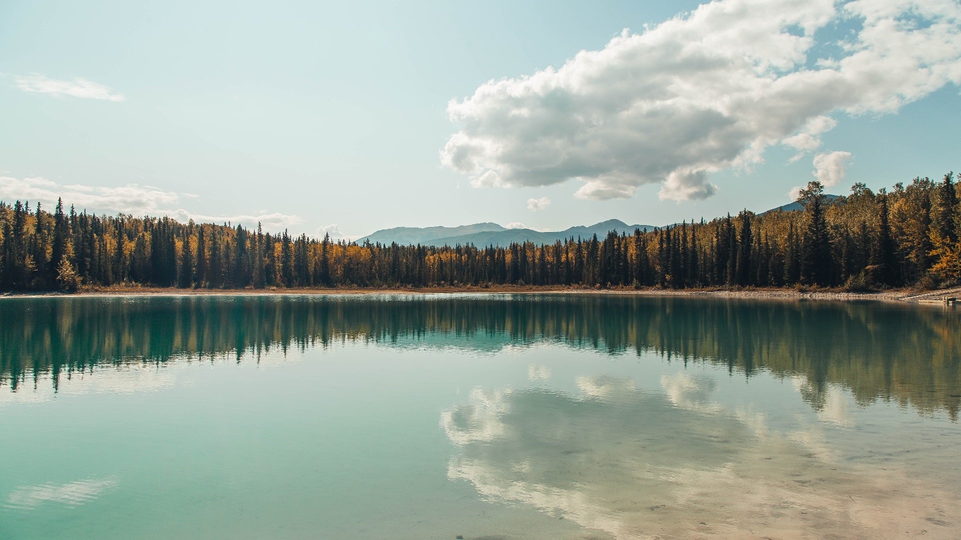 Kaiyun官方登录入口-CBA联赛推广篮球文化 吸引更多年轻球迷，cba篮球推荐分析