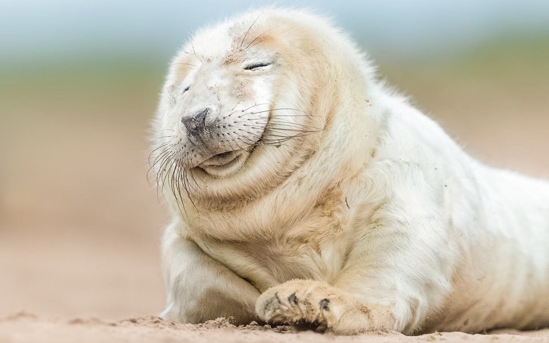 “费尔南多·比亚尔巴：阿根廷橄榄球的进攻标杆，未来无限”