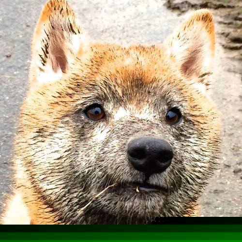 Kaiyun APP-乌拉圭女篮在南美锦标赛中表现抢眼，迈入新辉煌，乌拉圭蓝球