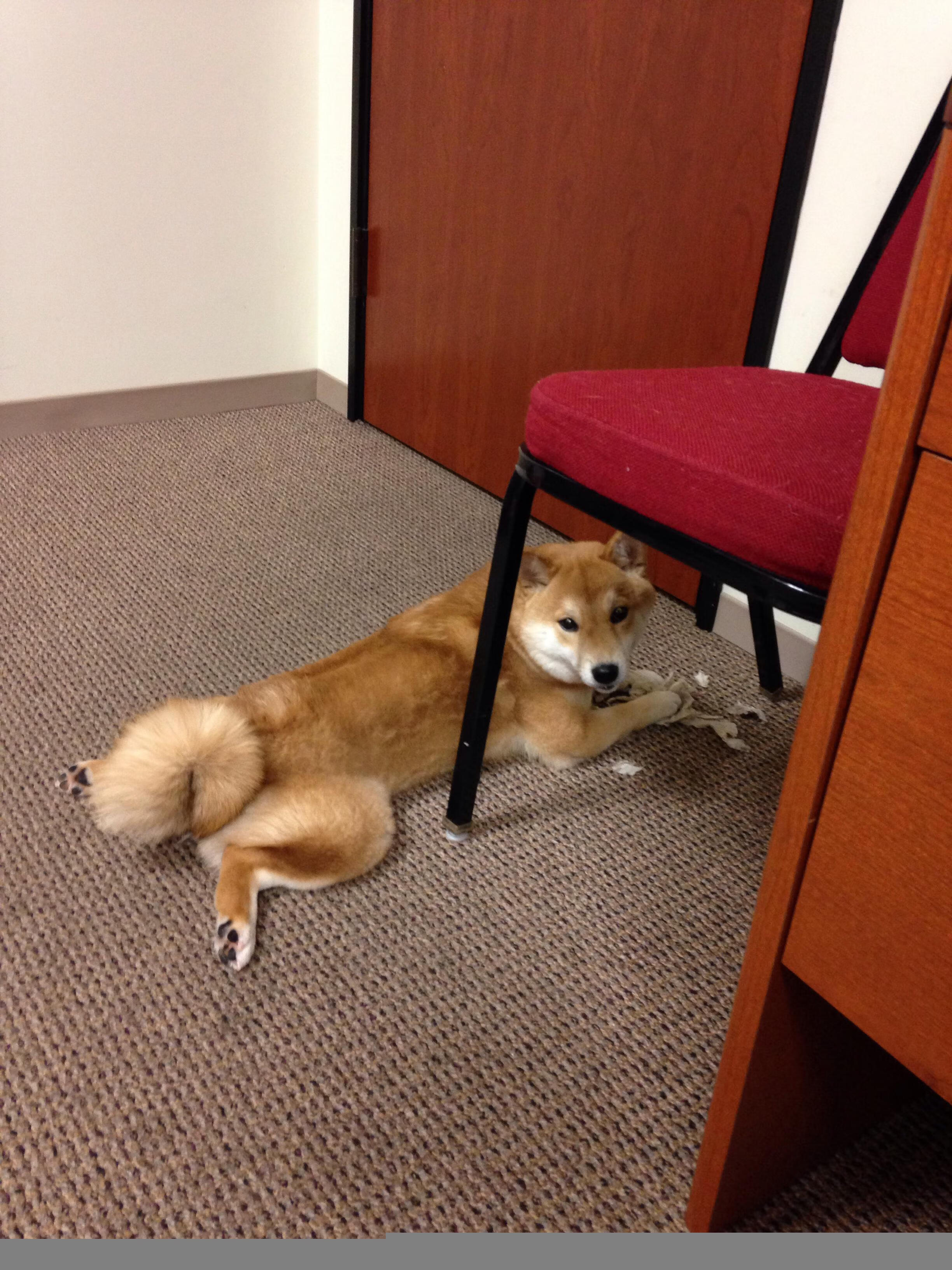 冠军虽少，但稳定优异的表现带来持续关注，冠军意味着什么