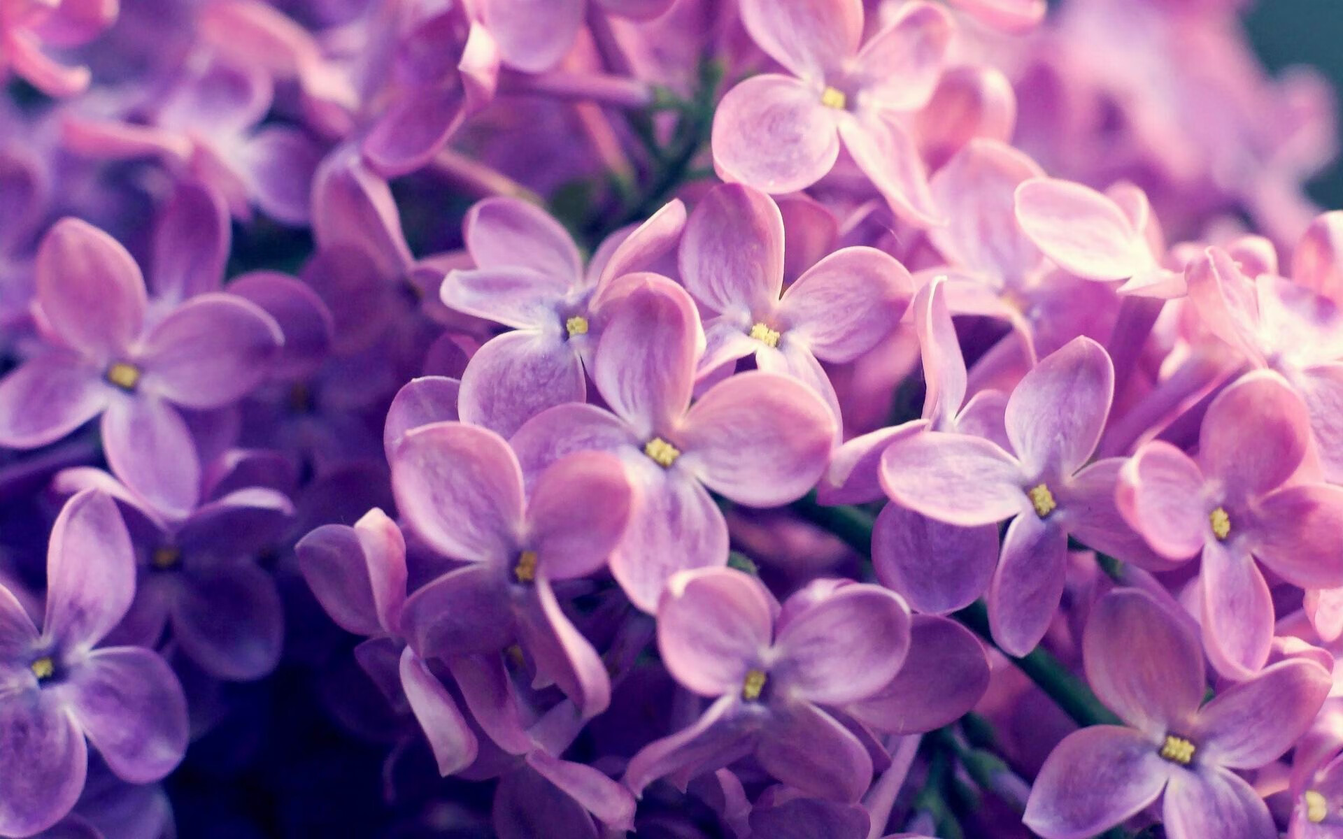 国王场边训练照展示球员专注面貌,国王 球队