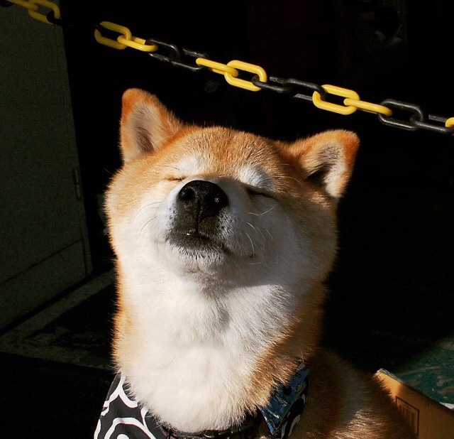 斯洛伐克女篮在欧洲锦标赛中战绩优异，力求突破