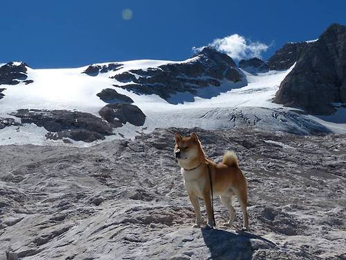 浓眉防守端效率提升成功限制对方内线，谁能防守浓眉