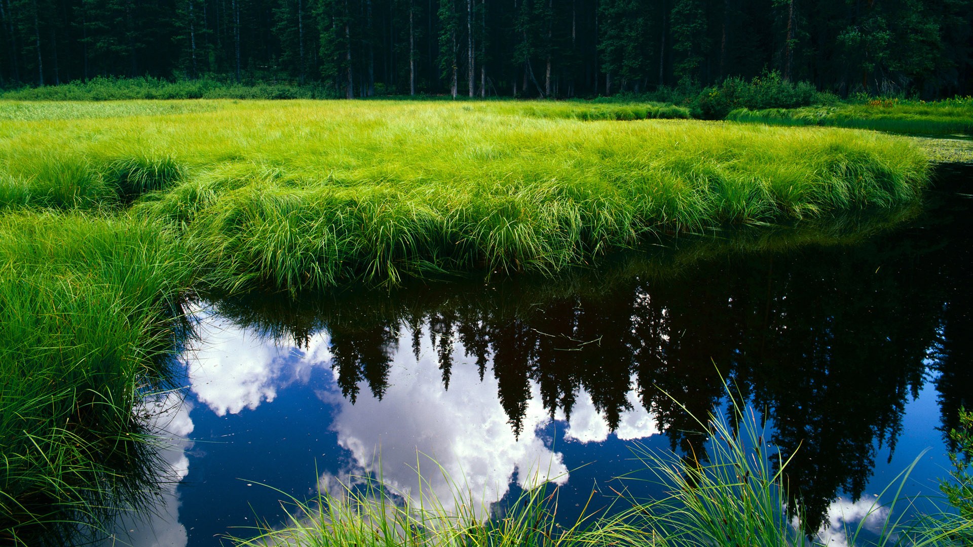 皇马青训不断涌现新星,未来阵容令人期待